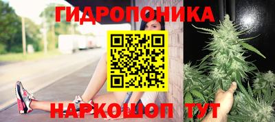сатива Можайск
