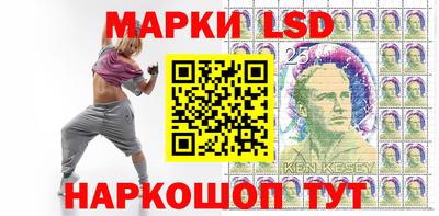 стафф Можга
