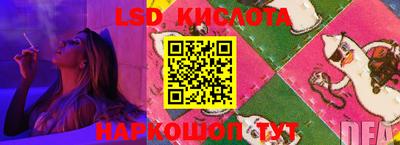 стафф Можга