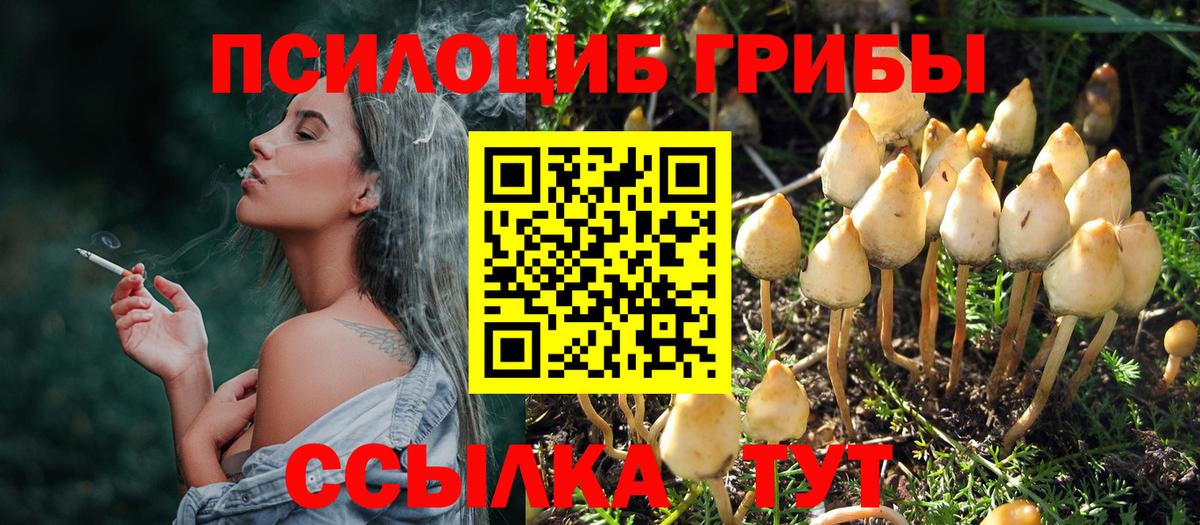 Галлюциногенные грибы Cubensis Благовещенск